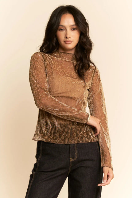 Glitter Burnout Long Sleeve Mesh Top