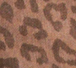 Mocha