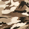 Sand Camo