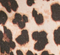 Taupe Leopard