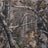 Camouflage