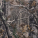 Camouflage
